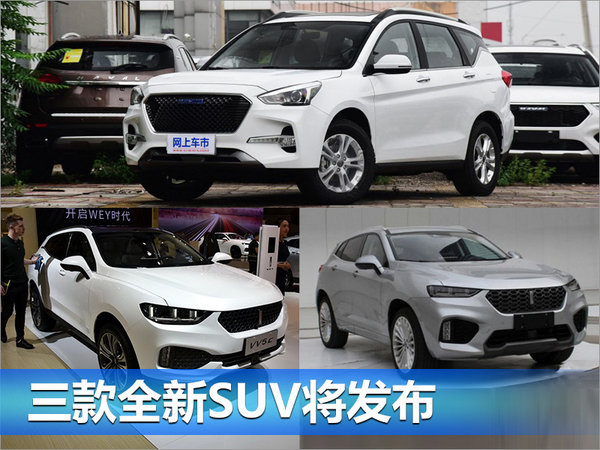 长城汽车上半年销量微增 三款全新SUV将发布-图4