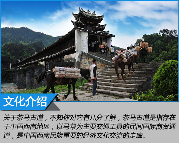 来自MG的征服之心 探寻茶马古道文化之旅-图4