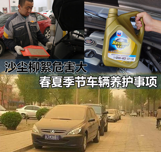 沙尘柳絮危害大 春夏季节车辆养护事项