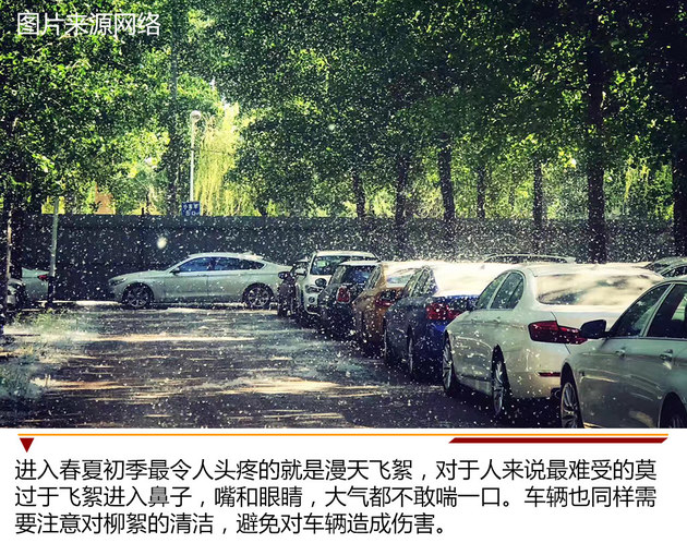 沙尘柳絮危害大 春夏季节车辆养护事项