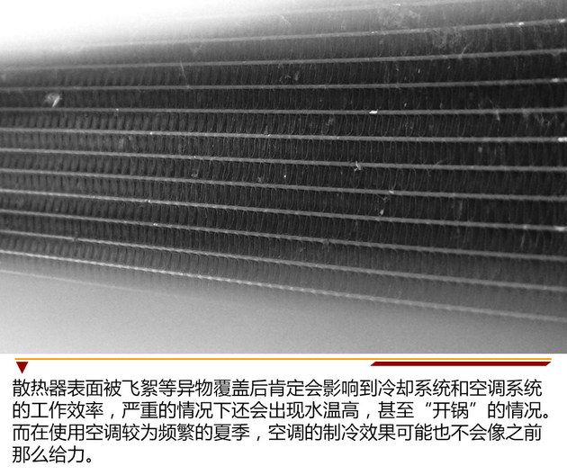 沙尘柳絮危害大 春夏季节车辆养护事项