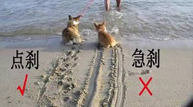 高速公路上开车最重要的这几点你都知道吗？