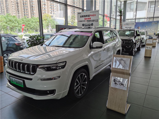 大象席地而坐，成都4S店将关闭四分之一？