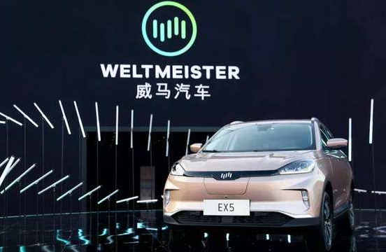 销量，比亚迪，蔚来，新能源车销量，比亚迪,6月汽车销量,新能源汽车,威马