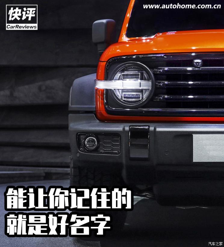 快评：黑猫/白猫/大狗究竟是不是好车名