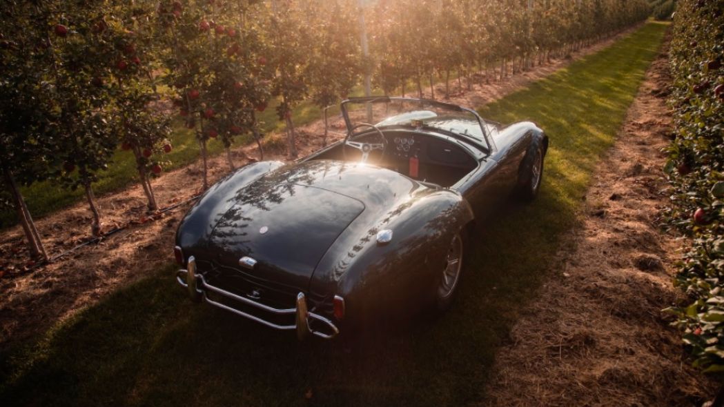 1965 Shelby 427 Cobra, CSX3178