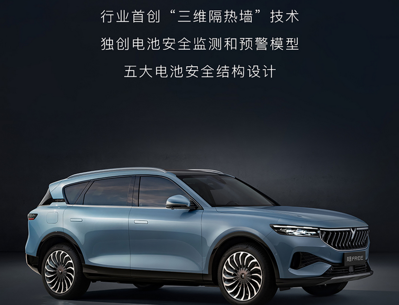 电动汽车，电池，三元锂电池,弹匣电池,岚图汽车