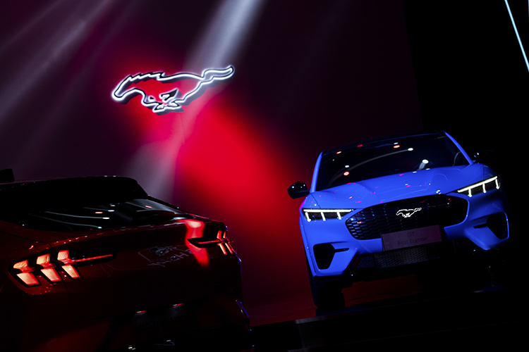销量，Model Y，Mustang Mach-E销量,特斯拉销量