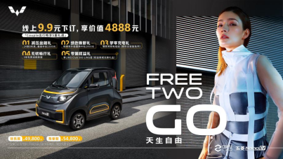 开启Couple世界，五菱NanoEV上市4.98万元起