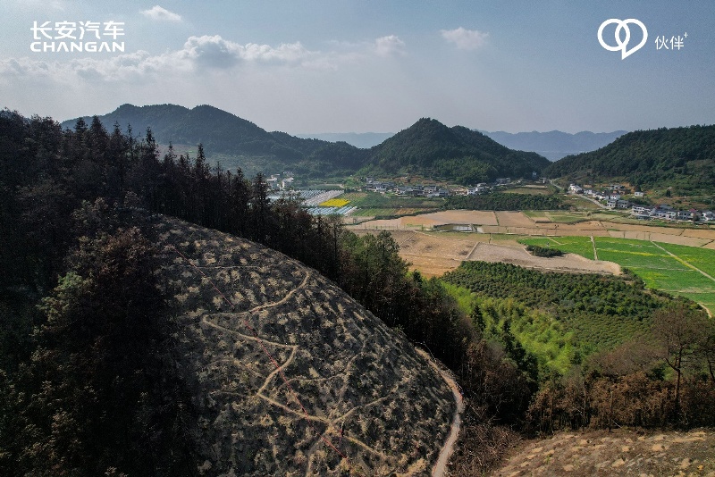 共建生态文明，守护绿色家园，长安汽车植树节有大动作