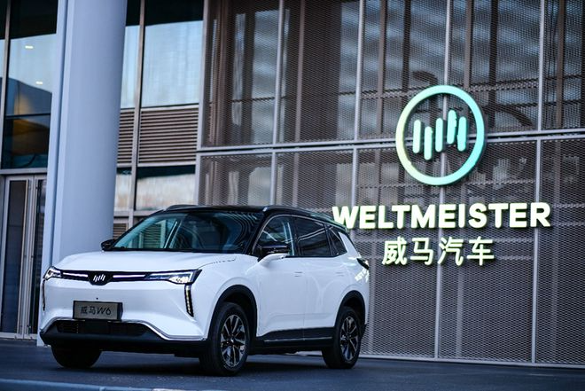威马汽车借壳上市梦碎，创始人沈晖仍“在线”