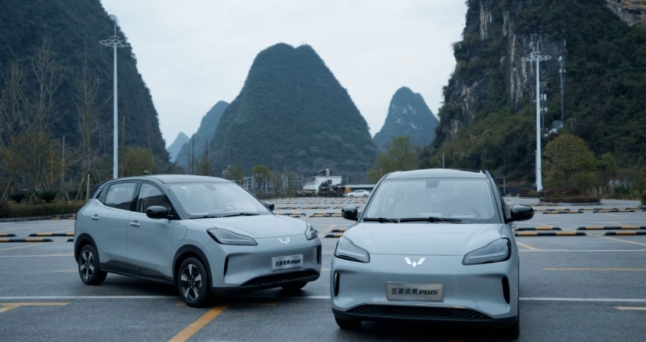 有颜有智续航还实，五菱缤果PLUS提前预定A0级电动新宠？
